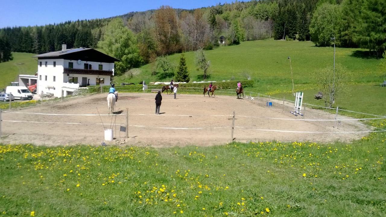 Apartments Im Almhaus Bachler Gundisch Eksteriør bilde